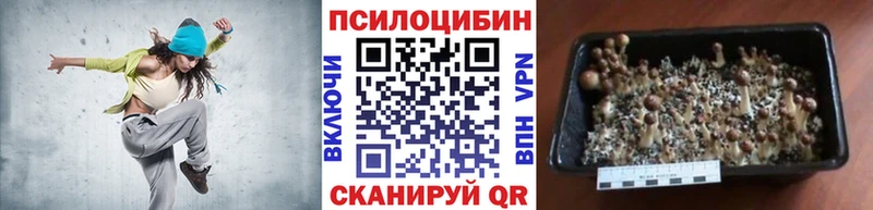 Галлюциногенные грибы Psilocybine cubensis  Полевской 